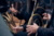 Detailbild: die Haende und Instrumente zweier Hornist:innen