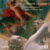 Album-Cover "L'Homme de Génie" Haydn2032 No.5, Kammerorchester Basel, Giovanni Antonini