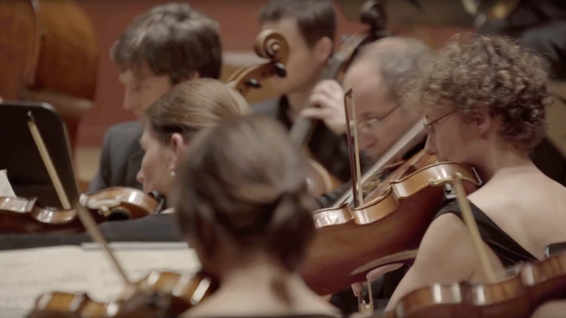 Blick von hinten in die Streichergruppe des Orchesters.