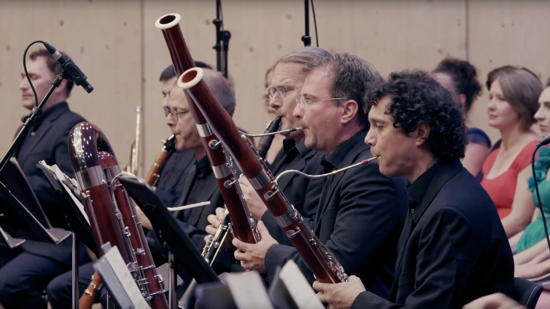 Fagottisten und Klarinettisten spielen im Orchester.