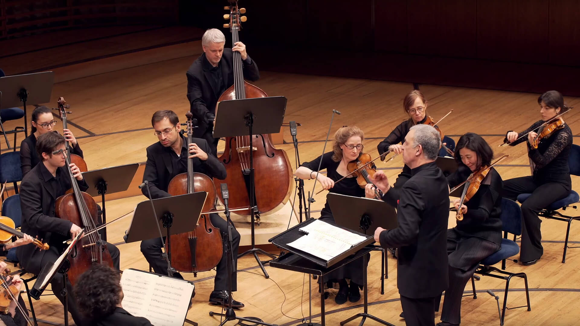 Blick von seitlich oben in das Orchester. Zu sehen sind nur Streicher:innen.