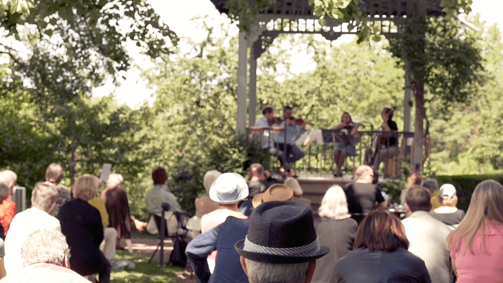 Ein Streichquartett spielt in einem Garten-Pavillon. Blick von hinter dem Publikum auf die Musiker:innen.