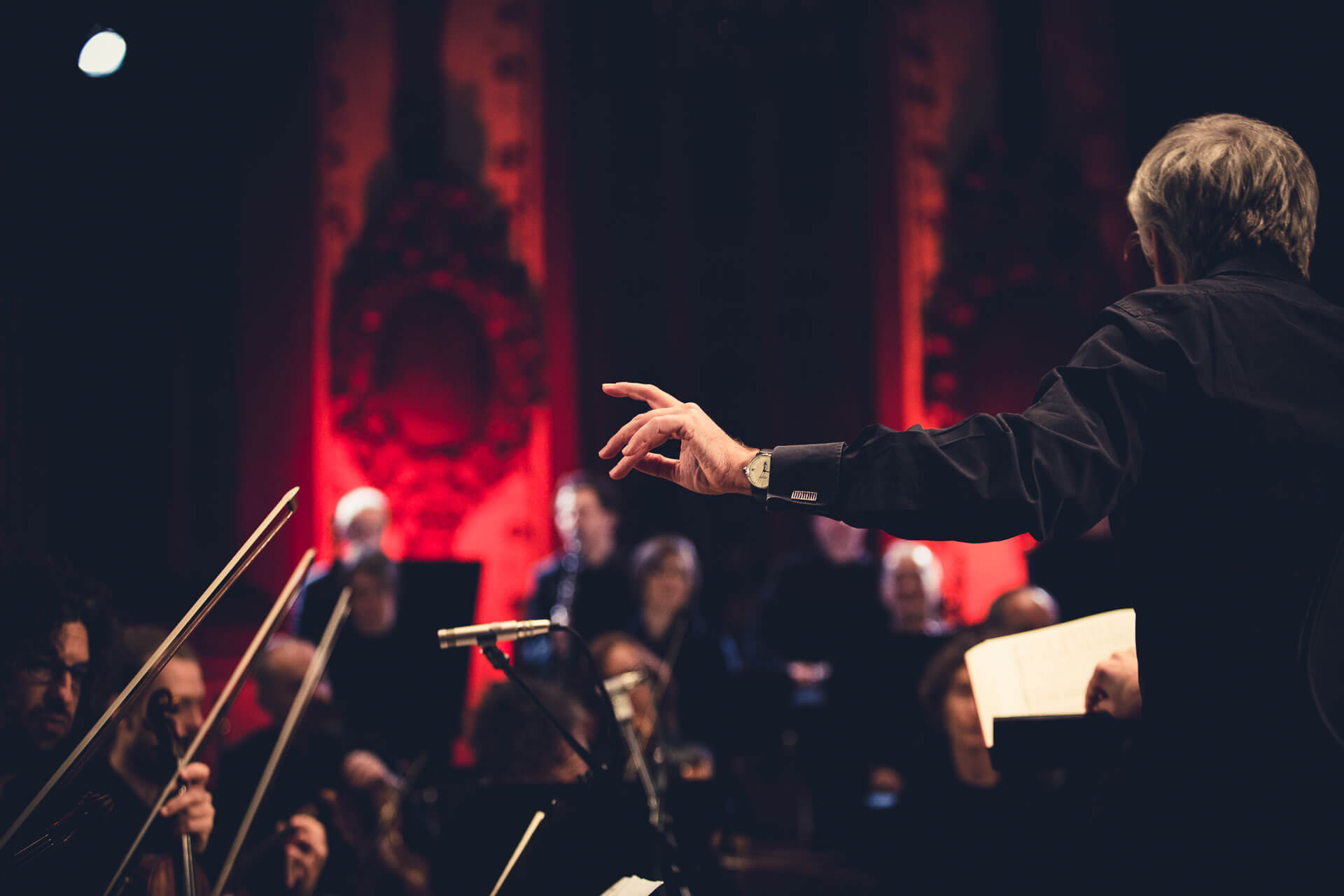 Ein Dirigent ist von hinten zu sehen. Verschwommen im Hintergrund das Orchester.