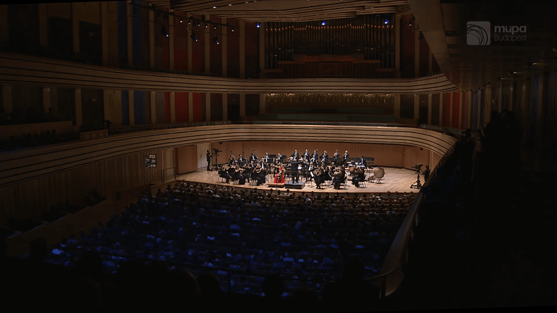 Konzertatmosphäre. Blick über den ganzen Konzertsaal auf die Bühne. Es spielt das Kammerorchester Basel gemeinsam mit der Cellistin Sol Gabetta.